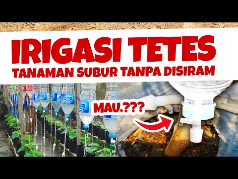 Video: Bagaimana cara membuat irigasi tetes dengan tangan Anda sendiri?