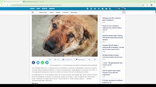 ОБЩЕСТВО ЗАЩИТИ ЖИВОТНЫХ ОТ ЖИВОТНЫХ!!