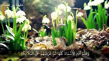 سورة البقرة من الاية(31) الى الاية(34)
