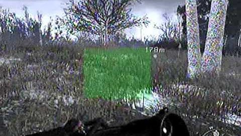 Modding MW2 (SpecOps)