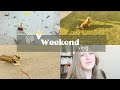 Vlog: Trivia, Rock Climbing, Backyard BBQs
