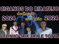 Musica cigana 2024 ciganos do ribatejo  lelinho trik trik e totta musicacigana rumbaportuguesa