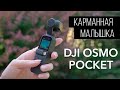 DJI OSMO Pocket. 7 месяцев спустя!