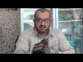 برنامج  ساعة اردنية      مجمدات السيد عمر المرازيق