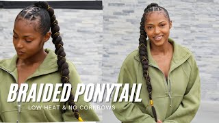 Sleek Braided Ponytail  HOW TO