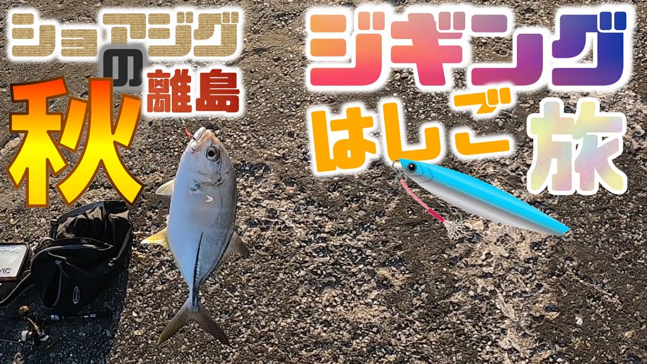 秋のショアジギング　港をハシゴした動画