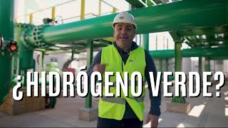 ASÍ SE FABRICA EL POLÉMICO HIDRÓGENO VERDE: Visita a la mayor planta de Europa