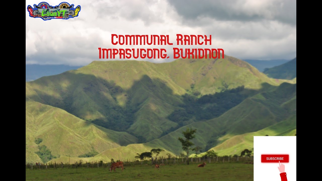 Communal Ranch Adventure| |LouieYT - YouTube