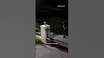 Video shows attack on home of B.C. man alleging extortion