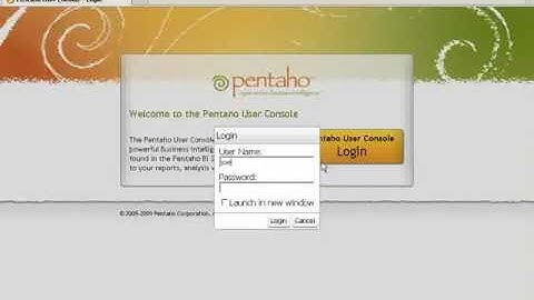 Report Design - Publish the Report