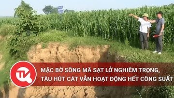 Thanh Hoá: Mặc bờ sông Mã sạt lở nghiêm trọng, tàu hút cát vẫn hoạt động hết công suất