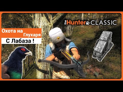 Охота на Глухаря с Лабаза в theHunter Classic !