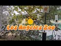 Meet the STARS of the Los Angeles Zoo: Sea Lion and Harbor Seal!