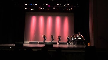 Alpha Psi Lambda - Individual Stroll 2015 UIUC