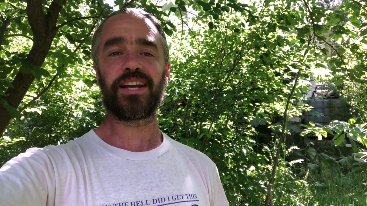 Permaculture Nursery at Start of Drought