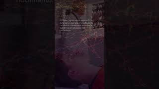 El daño cerebral adquirido (DCA) puede cambiar la vida en un instante. #shorts El daño cerebral adquirido (DCA) puede cambiar la vida en un instante. #shorts