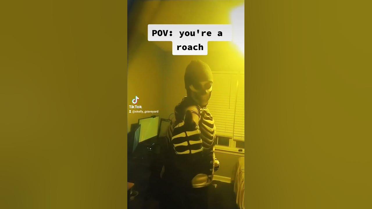 pov-you-re-a-roach-in-my-house-youtube