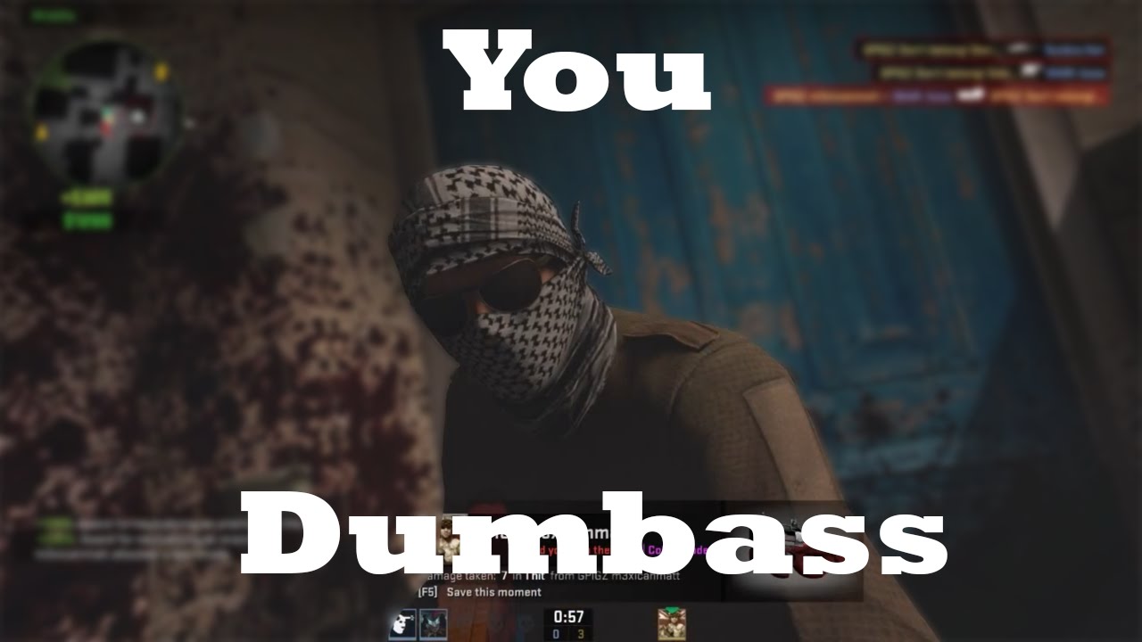 You Dumbass! | Funny Recording Highlight - YouTube