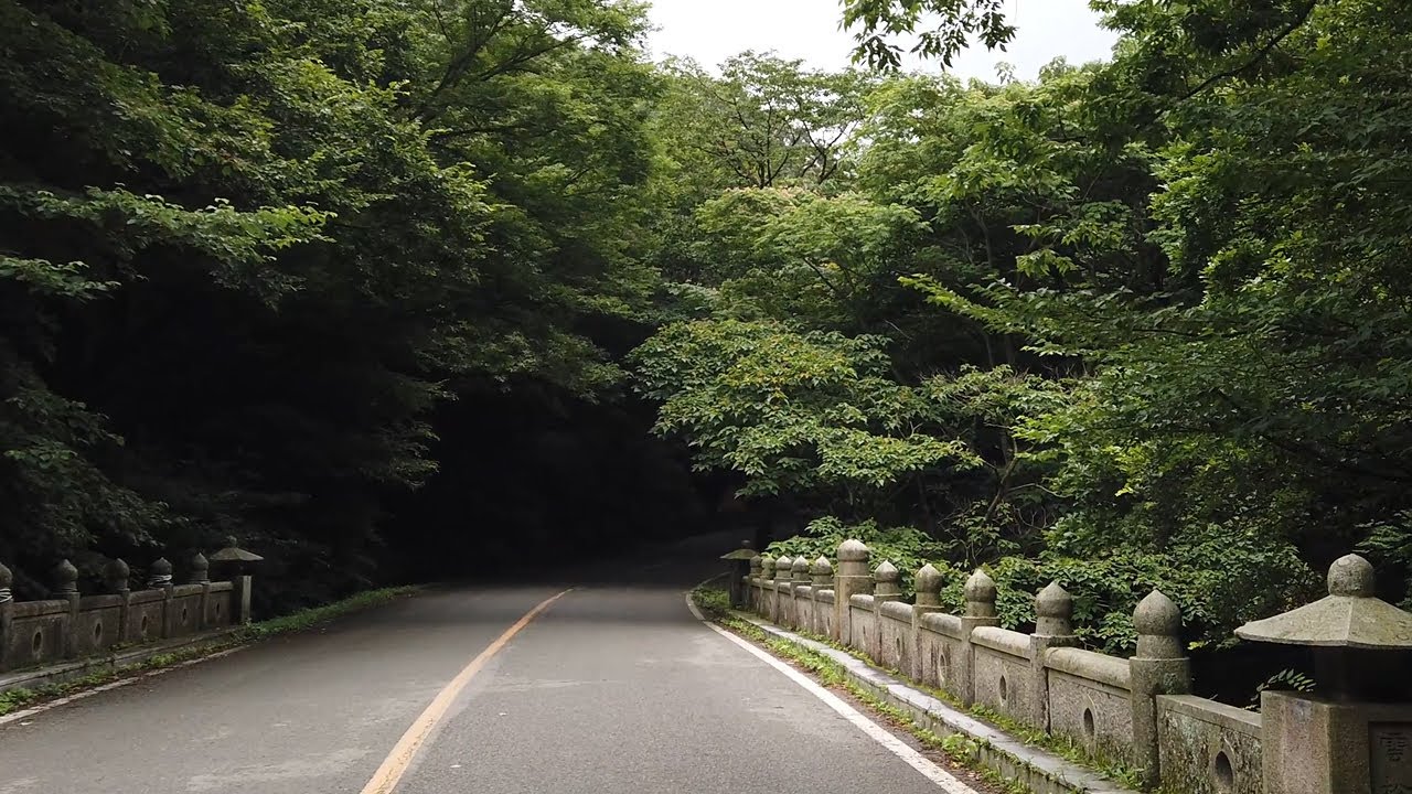Прогулка по старому корейскому храму, по долине и лесу, пение птиц