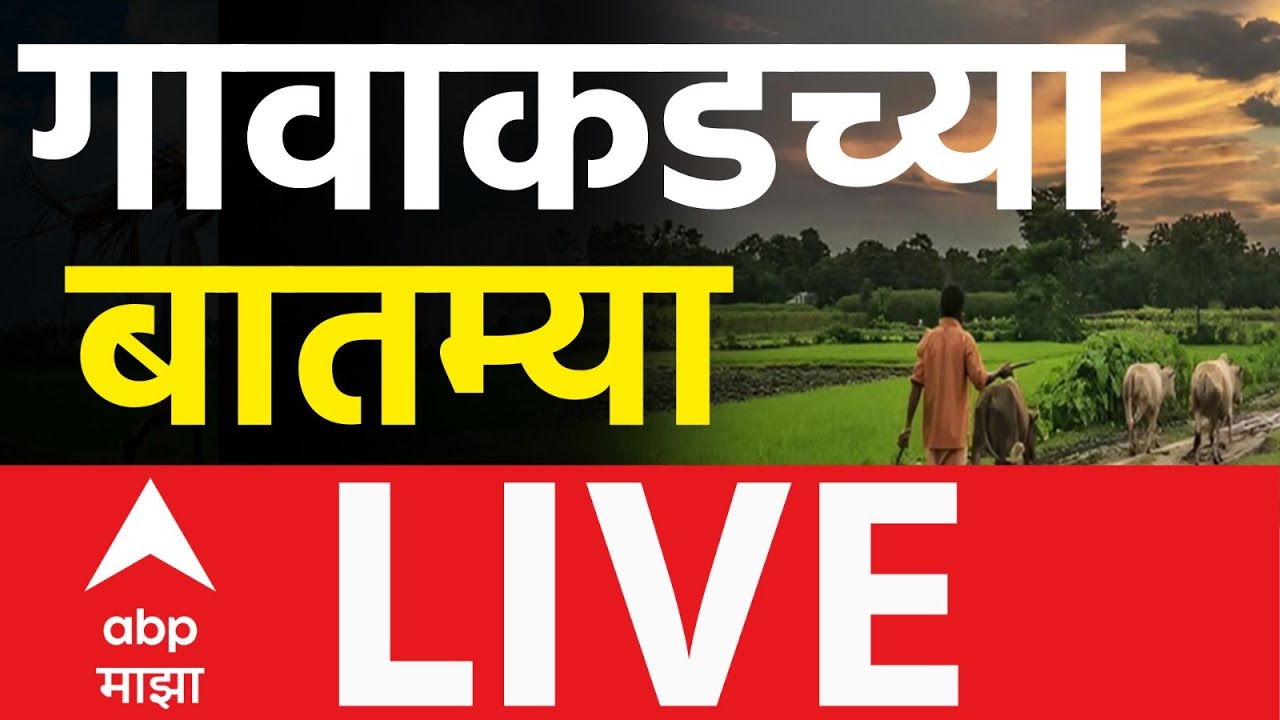 Gavgada News Update LIVE |  Maharashtra Municipal Election | Mumbai | Devendra Fadnavis | ABP Majha