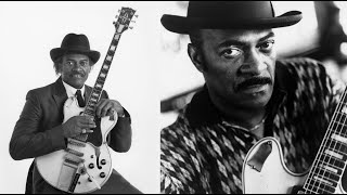 Jimmy Dawkins  -  Blue Shadows Falling  / Live 1977