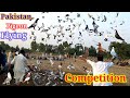 Whats pigeon racing  pakistan racing pigeon flying competition  how to train your pigeon