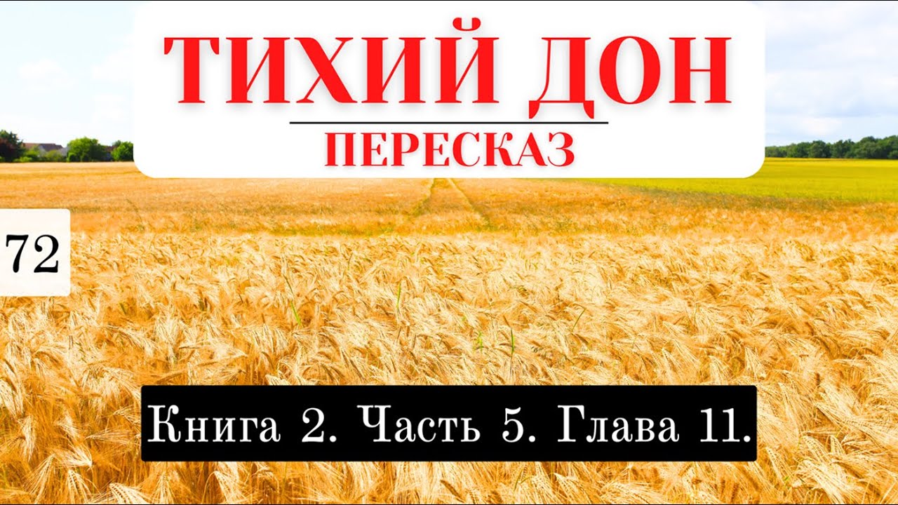 «Тихий Дон» / Подробный пересказ / Книга 2. Часть 5. Глава 11. - YouTube