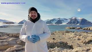 Kuş Gribi Ve Insan Kaynaklı Kirleticiler Antarktikanın Geleceğini Etkiliyor