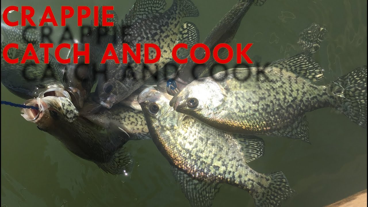 Crappie Catch And Cook! (Oregon) YouTube