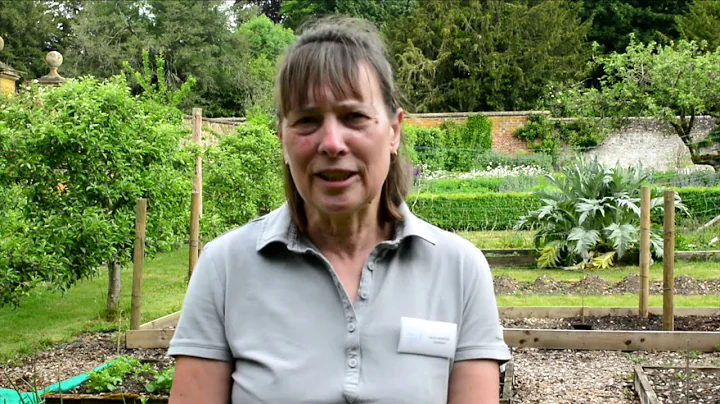 Chawton House Gardener Julia Weaver: Lockdown Gard...