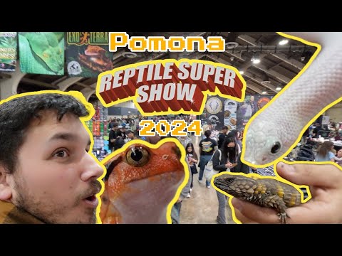 2024 POMONA REPTILE SUPER SHOW | This was one for the books!