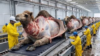 How Camel Skin Becomes a Leather Jacket 🐪🧥 | Factory Process