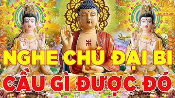 Nghe Kinh Chú Đại Bi 49 Biến Mỗi Ngày Tiêu Tan Bệnh Tật Cầu Được Ước Thấy Bình An May Mắn