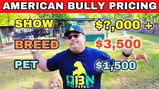 American Bully Pricing Guide