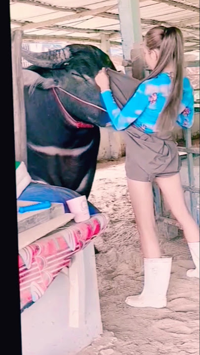 funny video || humor lucu bikin ngakak#shorts