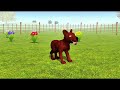 El pollito y el Tractor de la Granja de Zenón de la Vaca Toro y del Pollito la