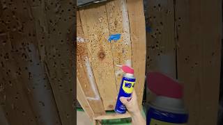 The Only Right Way to Use WD-40 🤯🤯🤯 #shorts #antonfomenko Profile