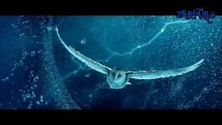 Легенды ночных стражей "Catch Me" Легенды ночных стражей "Catch Me"
