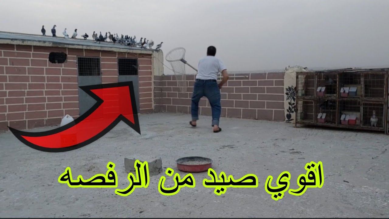 اقوي صيد راح تشوفو صيد ذباني بواز طاره من الرفصه صادو