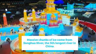 10 Intresting Facts About HARBIN Ice and Snow Festival #harbin #snowfestival #china