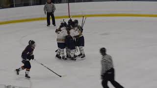 Highlights: Skaneateles girls hockey tops Alex Bay 6-3 to advance to section finals