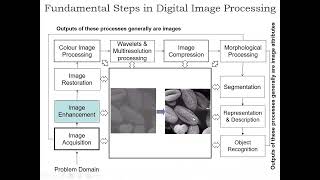Fundamental steps in Digital Image Processing