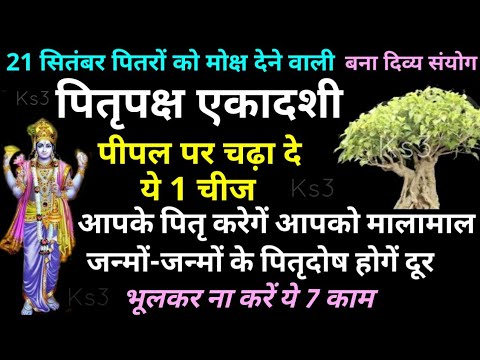 21 सितंबर पितृपक्ष बड़ी एकादशी पीपल पर चढ़ा दे ये 1 चीज आपके पितृ करेगें आपको मालामाल / श्राद्ध