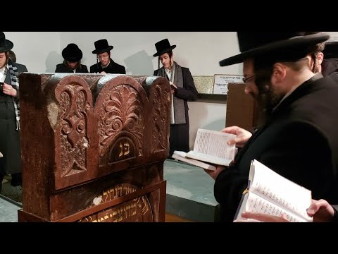 הרה"ג ר יואל ראטה שליט״א ראש ישיבת תפארת התורה ברסלב ביים ציון הקדוש בליסקא