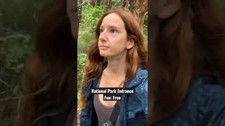 How Much I Spend In A Day Traveling Australia Noosa Australia