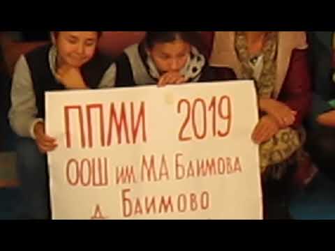 ППМИ 2019 предварительное