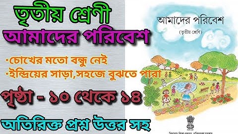 Class3/amader poribash/page:10 to 14/sorir/আমাদের পরিবেশ/তৃতীয় শ্রেণী/শরীর/পৃষ্ঠা:১০ থেকে ১৪