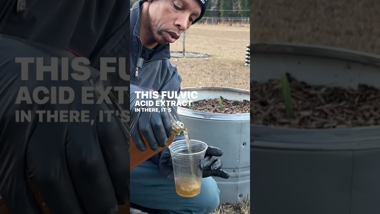 Unlock Your Soil's Hidden Power! 💎🌱  fulvic acid and Mycorrhizae fungi