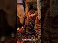 #mahadev #youtubeshorts #bhakti #song #music