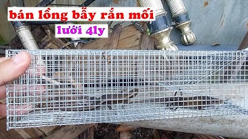 BÁN LỒNG BẪY RẮN MỐI mắc lưới 4ly, không lọt dế